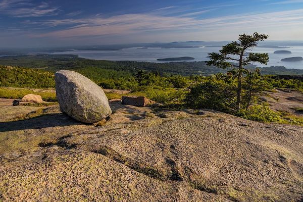Haney, Chuck 아티스트의 View from Cadillac Mountain looking down onto Frenchman Bay in Acadia National Park-Maine-USA작품입니다.